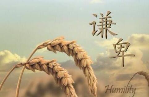 tڷОt˼ʲô