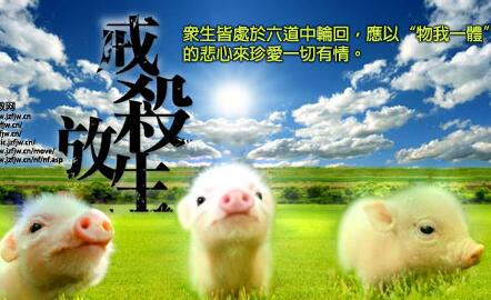 ʲô˼Ĺ(bo)ʲô