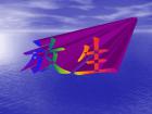 放生三個(gè)程序 放生三個(gè)程序