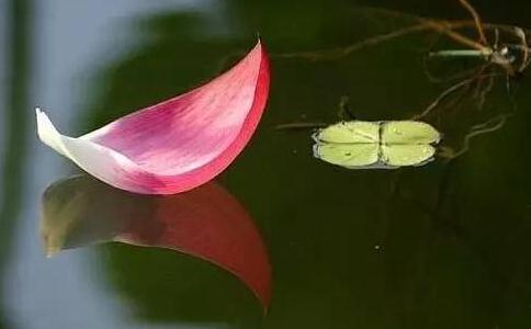 ʲôX֧
