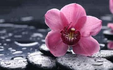 ӏVY(ji)ƾ