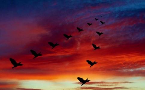 (dng)Ӳx