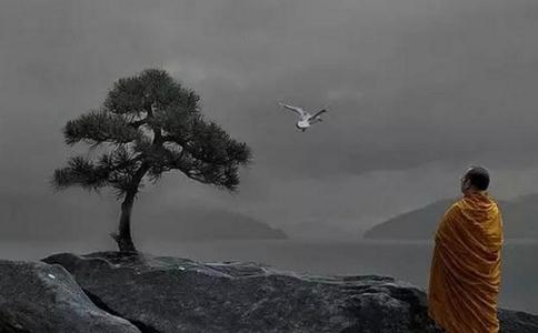 ΜNķ