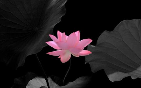 Ҫ編t韩ͺܴ