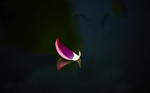 ʲôǷfġȡ