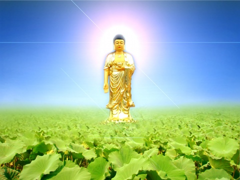 ӷ𡱵ġ(yng)ԓ_кκx
