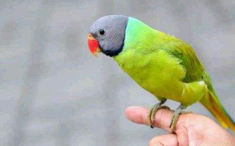 ɷȥD(zhun)Ͷ̥СB ܺǡI