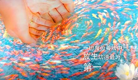 ˷rĺ΃x܉һιo