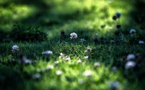W(xu)ݲܓһ
