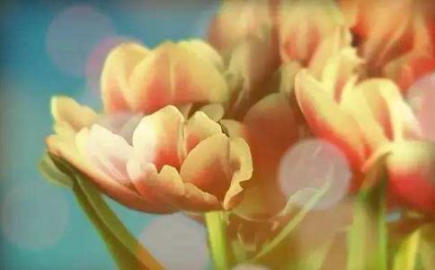 ĕrǈԳx