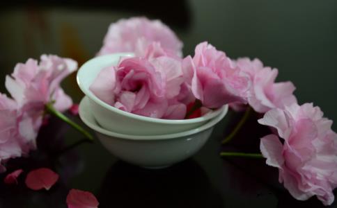 挦(du)yĘy ԒҪW(xu)(hu)ƽ