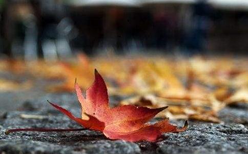 _ڼ^ܴஔ(dng)ڔ˷