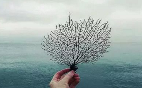 e͟һҊR(sh)