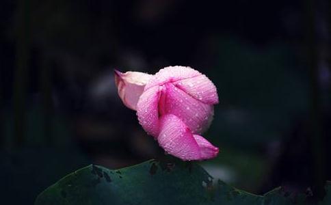 yõČW(xu)У (jng)vFؔ