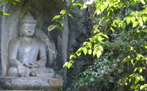 WVĿֽ䡢޶C