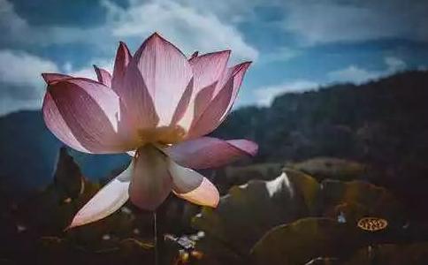 Lh(yun)Թ֮