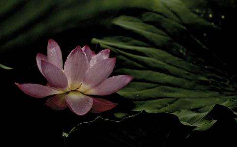 ʼͨSD(zhun)