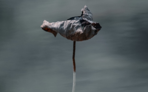 ƐһģҪ