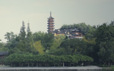 ɽѿʲô裿(zhn)ɽѿĮa(chn)cc(din)
