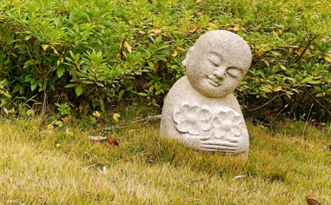 ¶U˵ĸcȫ