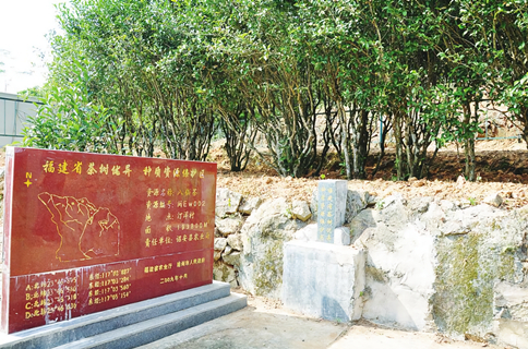 ɲʲô裿ʲôc(din)