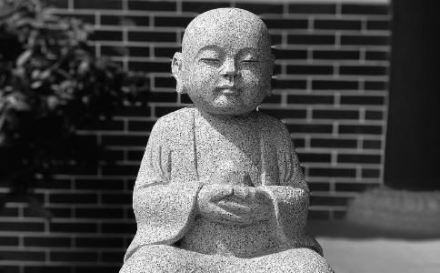 Դ(du)T˟鲻(li)ô