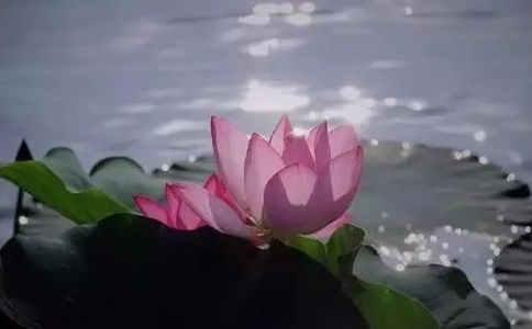 􅢷oRrr(sh)(yng)ԓôk