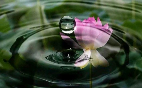 󰲷ĘO(l)ص߀(hu)D(zhun)