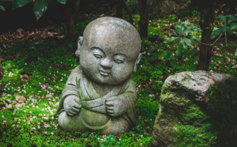 ʲô_(ti)l(f)ԕ(hu)Y(ji)_(ti)vԒY(ji)ҪνQ