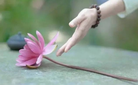 ʲôܿƅs̲^(gu)Ų