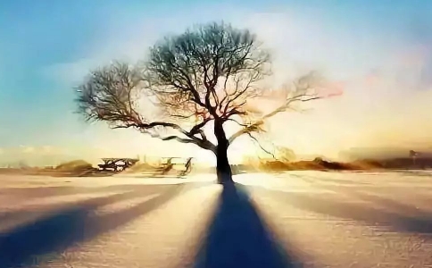 \˳족ʲô˼
