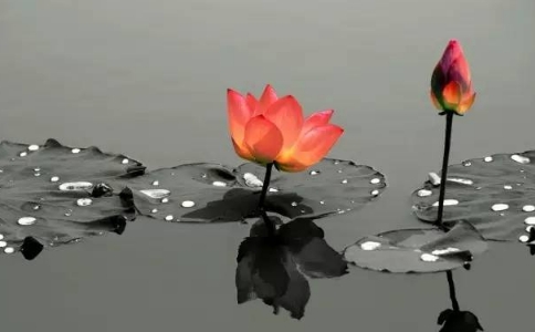ʵˣǹ