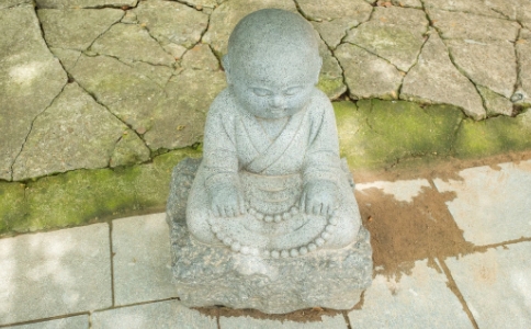 ƷʲôԽԽyoôk