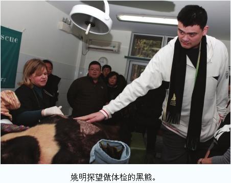 看望被救黑熊姚明呼吁社會關(guān)愛