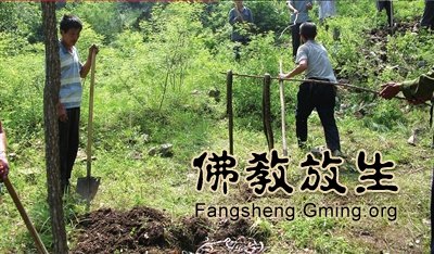 買蛇放生千條引恐慌