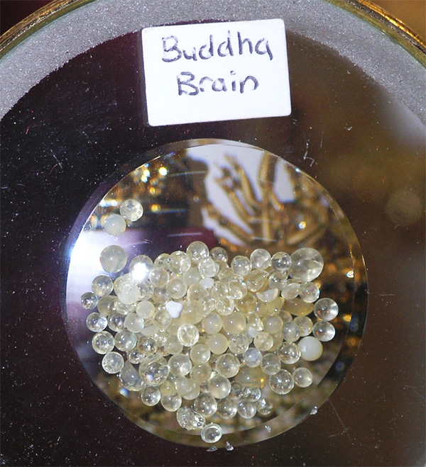 佛陀和阿羅漢的舍利