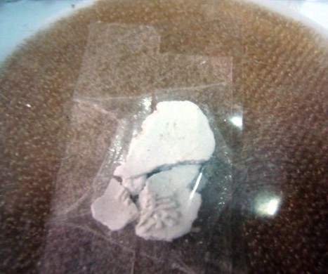 滌華禪師神奇的泰字舍利